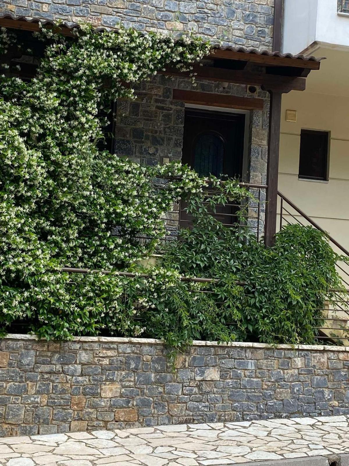 Kalavryta's Cozy Loft Apartament Kalavryta
